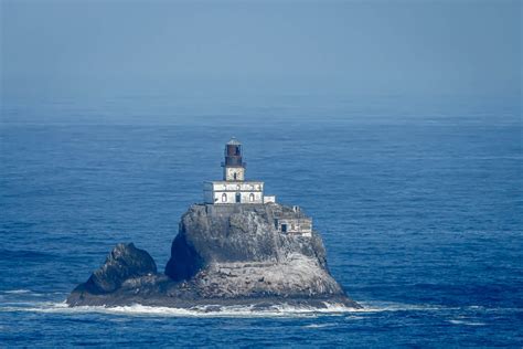 Tillamook Lighthouse Against A Blue Ocean With Sealions On The R