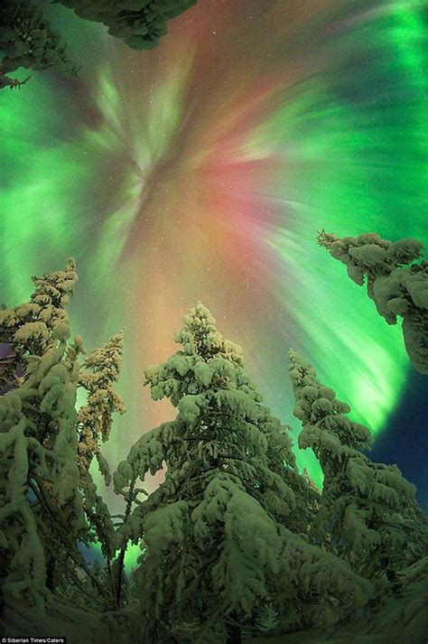 Photographer Treks Into Siberia For Perfect Shots Of Northern Lights