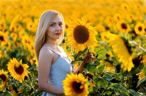 Sunflower Blonde Model Summer Girl Lipstick Flower Woman Yellow