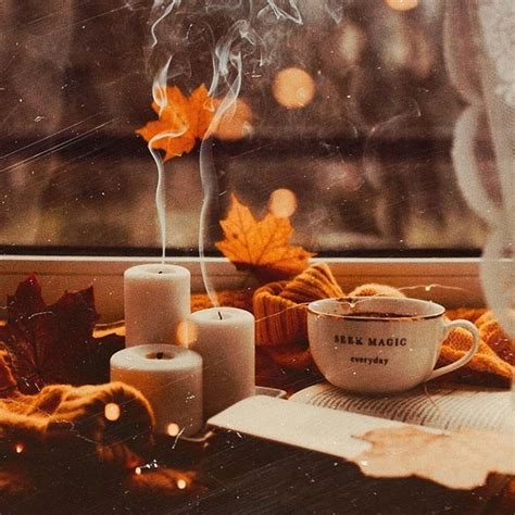 𝕊𝕖𝕒𝕤𝕠𝕟𝕒𝕝 𝕒𝕔𝕔𝕠𝕦𝕟𝕥 On Instagram 🧡 Autumn Aesthetic Autumn Aesthetic
