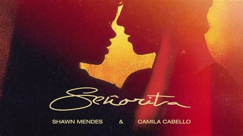 Shawn Mendes And Camila Cabello Song Senorita Official Video Patrick