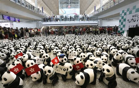 1600 Paper Mache Pandas Storm Hong Kong Airport Time