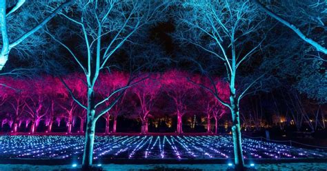 Things to do in glencoe. Experience Lightscape at the Chicago Botanic Garden This ...