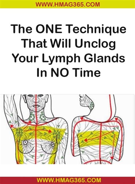 The One Technique That Will Unclog Your Lymph Glands In No Time Lymph