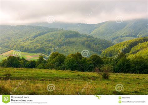 Landscape With Fields And Forest On Hillside Stock Image Image Of