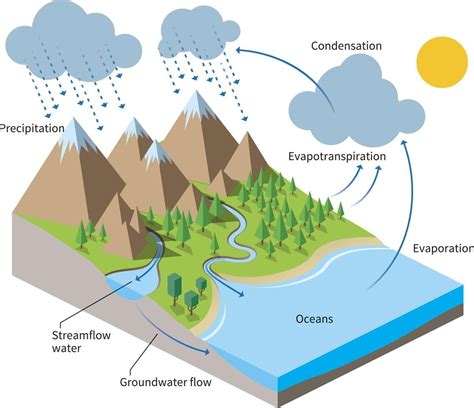 Simple Water Cycle Drawing At Explore Collection