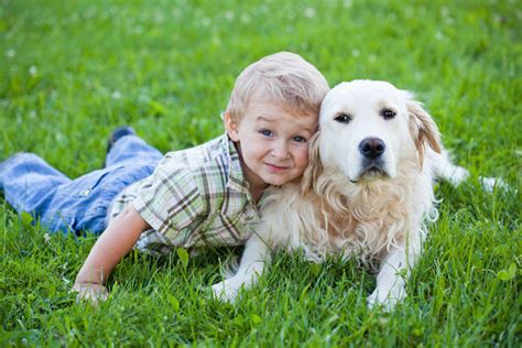 7 Beneficios De Las Mascotas Para Niños ⇒ Increíbles ️