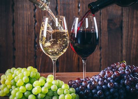 Diferencias en la elaboración del vino tinto y blanco Bodega Presas