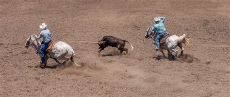 Saiba Quais São Os Maiores Rodeios Do Mundo Blog Rodeo West