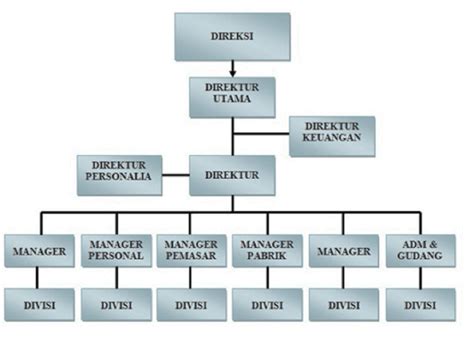 Jenis Struktur Organisasi Perniagaan Tingkatan Jenis Organisasi Hot