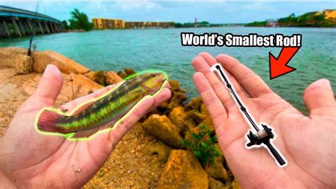 Worlds Smallest Fishing Rod Catches Tropical Aquarium Fish