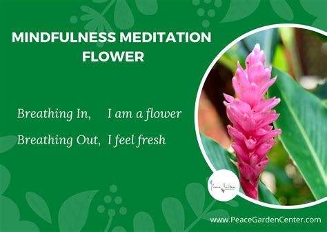 Mindfulness Meditation Flower Peace Garden Center