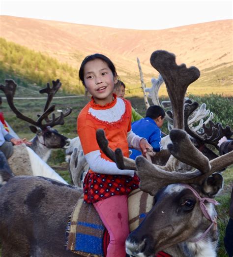 Mongolia S Mystical Tsaatan Spirit Of The Reindeer Herders Zennergi