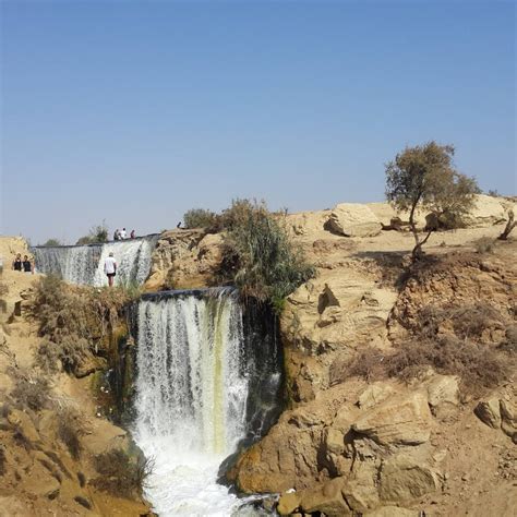 Day Tour To El Fayoum From Cairo Pharaonic Flowers Travel