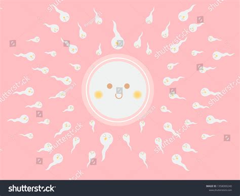 Cute Egg Sperm Fertilization Stock Vector Royalty Free 1358000240 Shutterstock
