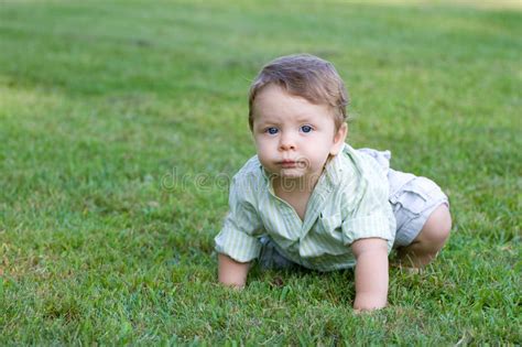 Baby Boy Crawling Stock Photo Image Of Infant Kids 13561940