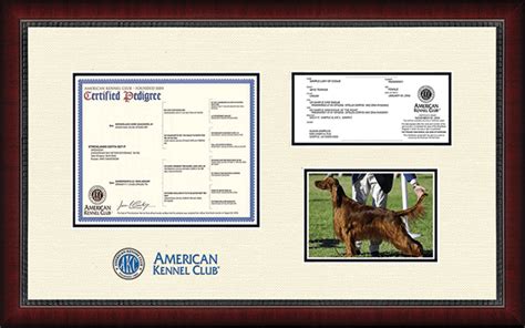 What Does Akc Registered Mean For Dogs