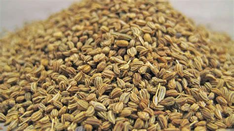 50 Untold Benefits Of Ajwain Seeds For Skin Hair And Health Its Side