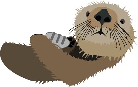 Sea Otter Clipart 20 Free Cliparts Download Images On Clipground 2023