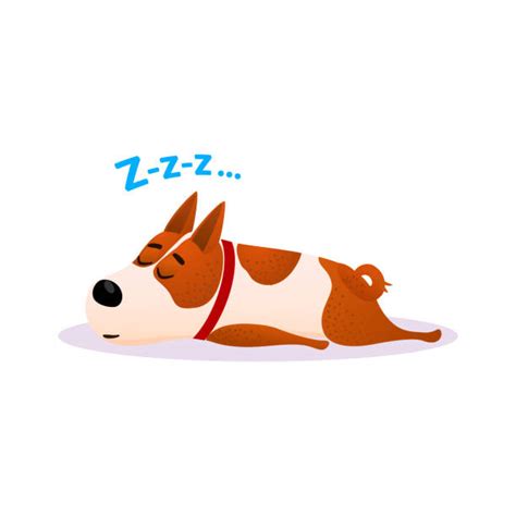 White Dog Laying Down Stock Vectors Istock