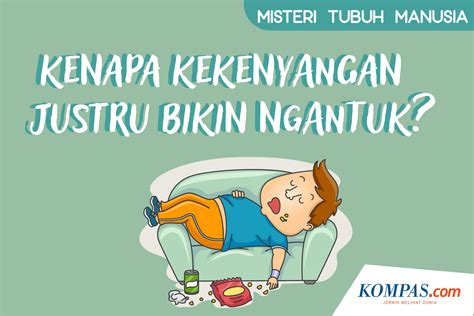 Infografik Misteri Tubuh Manusia Kenapa Kenyang Bikin Ngantuk