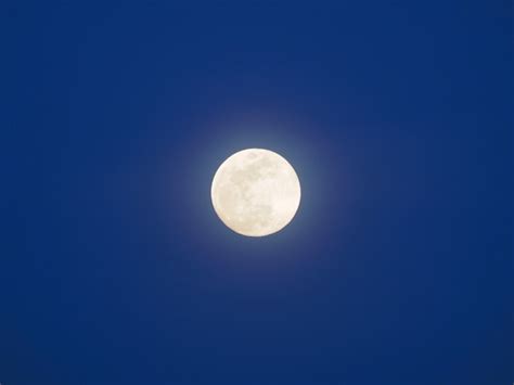 Full Moon In A Blue Sky The Blue Hour Premium Photo