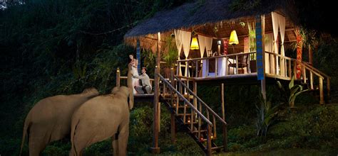 Guests staying at anantara golden triangle elephant camp resort enjoy an outdoor pool, a children's pool, and a sauna. Anantara Golden Triangle Elephant Camp & Resort, Chiang ...