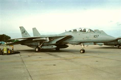 F 14 Tomcats Of Vf 31 Tomcatters Part Two By Dave Roof