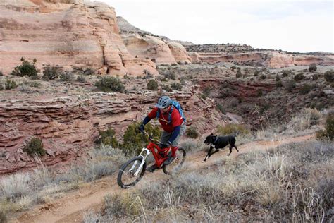 It gives the major denver metro area easy access to a free downhill mountain bike trail for the first time. Fruita, Colorado | Mountain biking, Bike trails, Living in ...