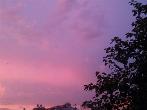 Yngood ¨•¸¸ Pretty Sky Lilac Sky Nature Aesthetic