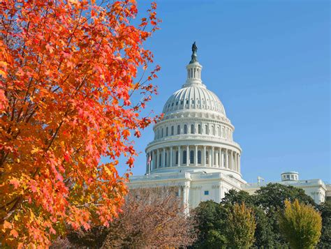 Fall Things To Do In Washington DC 2018