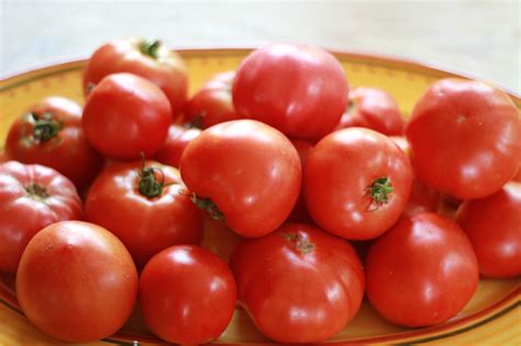 Guide To Growing Organic Tomatoes Espoma
