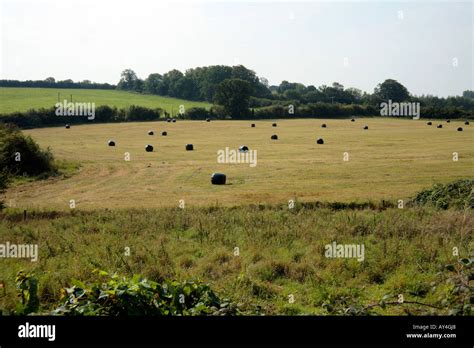 Bagged Hay Hi Res Stock Photography And Images Alamy