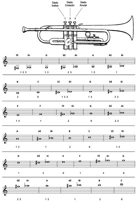 Como Realizar Las Posiciones De Las Notas En La Trompeta Musifanaticos