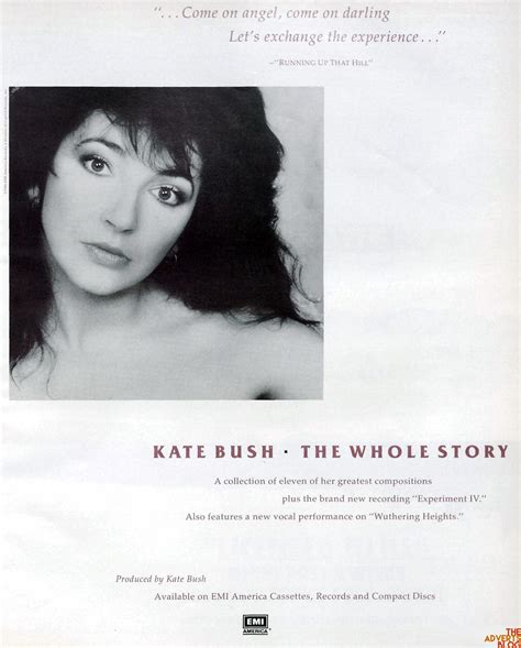 Kate Bush The Whole Story Billboard Magazine The Adverts Blog