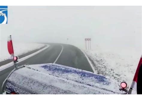 Video Ninge în Mai Multe Zone Zăpada S A Așternut Deja Pe Transaplina