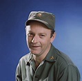 Larry Linville ~ Detailed Biography with [ Photos | Videos ]