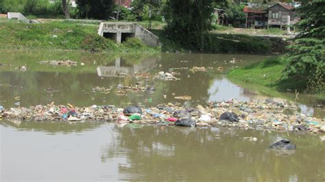 Artikel pencemaran udara meliputi pengertian, penyebab, dampak, jenis polutan dan cara menanggulanginya. Pencemaran Sungai Muda: Empat Warganegara Indonesia Didakwa