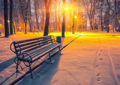 Winter Evening In A Central Park Stock Image Image Of January