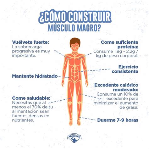 Cuánta Proteína Comer para Aumentar Masa Muscular Aumentar masa