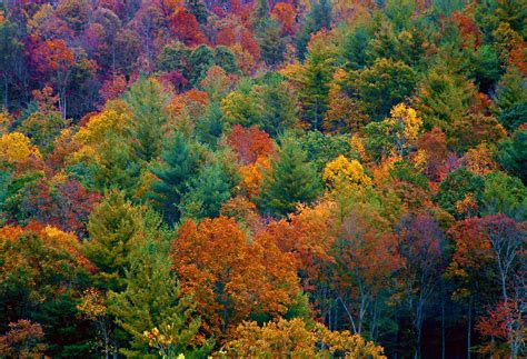 Transport & travel spring, summer, autumn, winter. When does Autumn start in 2017? Autumn equinox will hail ...