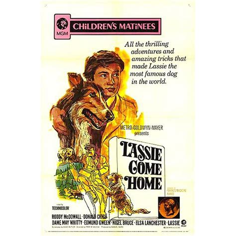 lassie come home 1943 laminated movie poster version 1 20 inch by 30 inch laminated poster