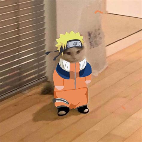 Naruto Miau Imágenes Divertidas De Animales Fotografías Divertidas