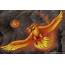 The Phoenix Bird Of Flames