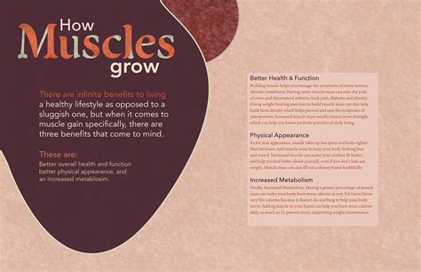 How Muscles Grow Science Exhibit On Behance