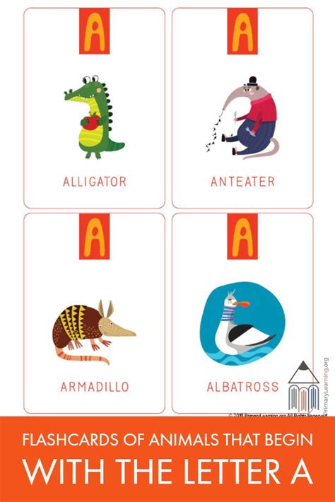 We've compiled an ultimate list of more than 130 animals that start with u! Flashcards Of Animals That Begin With The Letter A ...