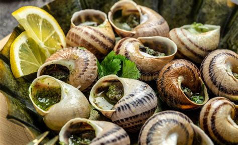 Snails Baked With Sauce Bourgogne Escargot Snails Baked Snails With