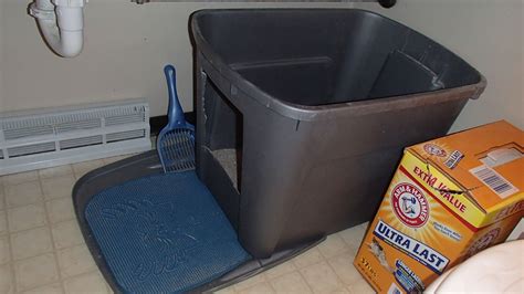 Homemade Cat Litter Box Do Your Cats Pee Off The Side Or The Back Of