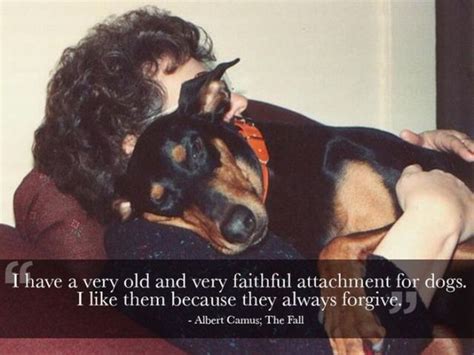 Cool Quotes That Will Make You Appreciate Your Pets Pics