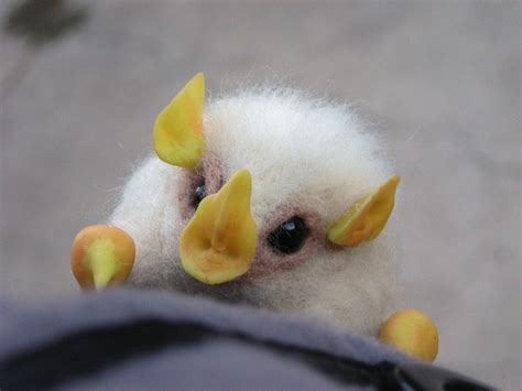 If You Think Bats Are Cute Then Youll Love The Honduran White Bat Aww